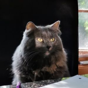 Meet your Posher, Mélanie